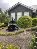 3 tier quarter horse fountain with round acorn and traditional pond