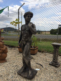 Large David statue