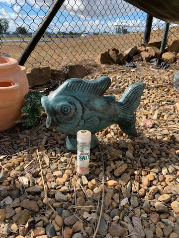 Fish statue fountain