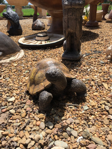 Tortoise statue