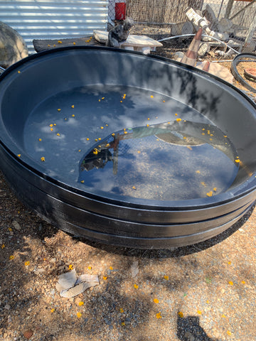 Poly tub insert pond